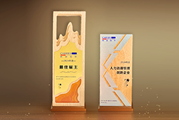 万象城AWC国际一举斩获“2024年度中国区最佳雇主”等多项大奖